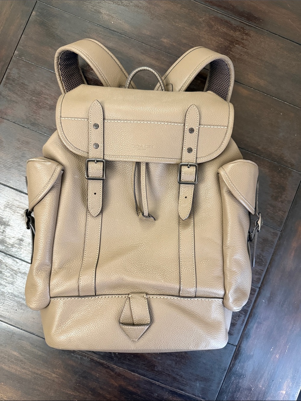 Coach Hitch Backpack in Taupe